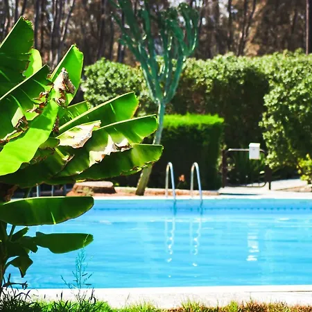 Pensionat Moon-light Studio Larnaca