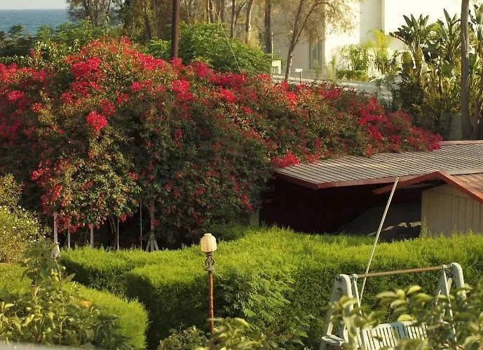 Moon-light Studio Larnaca