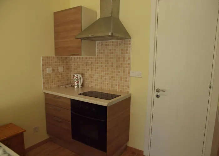 Guest house Moon-light Studio *